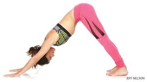 Image result for dogs position with head down workout